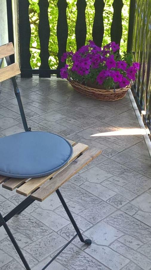 Apartman Ruzica Ogulin Extérieur photo